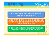 [교육사회학] 교육양극화와 교육을 통한 사회 양극화의 원인 및 문제점, 대책 및 예방법-5