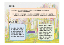 [유아문학] 그림책 아티스트 이수지 작가 작품분석-16