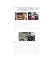 화물차 운행 행태에 따른 문제점 분석과 대안 제시 -화물차 야간통행을 중심으로-19
