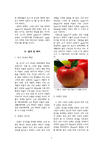 [브랜드전략] 애플 Apple 인지도 분석-6
