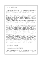 [마케팅] 한스킨 HANSKIN 마케팅 전략-2