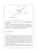 [마케팅] 한스킨 HANSKIN 마케팅 전략-17