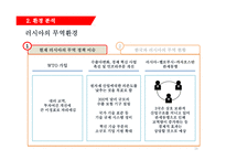 한국 기업의 러시아 시장 진출을 위한 분석 및 제언 -의료산업-16