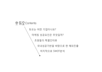 [국제경영] 결혼정보업체 `듀오` 경영 사례 연구 -Duo 의 국내,국제 경영 사례-2