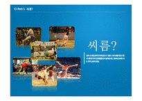 [스포츠경영] 비인기 관람 스포츠의 활성화 -씨름-3