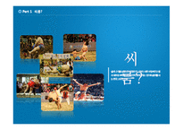 [스포츠경영] 비인기 관람 스포츠의 활성화 -씨름-4