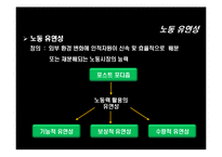 [노사관계론] 비정규직과 노동유연화-9