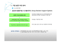 글로벌 e-business 사례 연구 -네이버 기업성공요인 분석-12