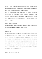 [마케팅] 삼양라면 마케팅전략 기획안-4