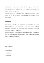[마케팅] 삼양라면 마케팅전략 기획안-16