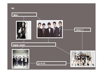 [재무관리] SM & JYP 기업 분석(엔터테인먼트 사업에서 이벤트와 주식의 상관관계)-14