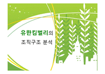 유한킴벌리 조직구조 분석-1