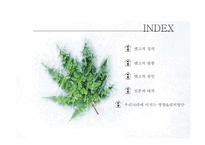 일본 엔화 강세의 원인과 전망, 우리나라에 미치는 영향-2