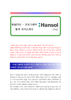 [한솔PNS - 프로그래머, 응용프로그래머] 합격 자기소개서 합격 예문(자소서 샘플)-1