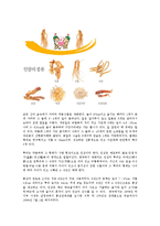 농업경영학4D)본인이충남금산군에인삼재배시인삼수출에영향을미치는외부환경요인과내부환경요인0k-3