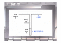 Mass Transfer - Diffusion(기체와 액체의 확산) - 예비-7