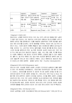 리바이스의 마케팅, 성공사례, 마케팅전략, 성공전략, 경영전략분석, 기업소개 및 회사 특징과 성공적인 경영전략 및 마케팅 전략, SWOT분석, 4P, STP 조사분석-12