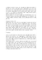 리바이스의 마케팅, 성공사례, 마케팅전략, 성공전략, 경영전략분석, 기업소개 및 회사 특징과 성공적인 경영전략 및 마케팅 전략, SWOT분석, 4P, STP 조사분석-13