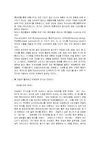 리바이스의 마케팅, 성공사례, 마케팅전략, 성공전략, 경영전략분석, 기업소개 및 회사 특징과 성공적인 경영전략 및 마케팅 전략, SWOT분석, 4P, STP 조사분석-18