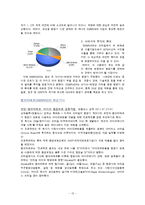 [국제경영] 엠브라에르(EMBRAER) 위기 극복-13