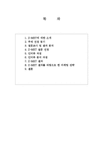 [마케팅] Z-MET 지멧 사례-2