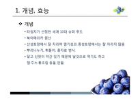 [MIS] 블루베리 생산 및 산업 현황과 프로세스-2