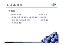 [MIS] 블루베리 생산 및 산업 현황과 프로세스-3