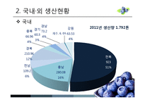 [MIS] 블루베리 생산 및 산업 현황과 프로세스-4