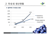 [MIS] 블루베리 생산 및 산업 현황과 프로세스-5