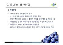 [MIS] 블루베리 생산 및 산업 현황과 프로세스-6