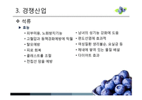 [MIS] 블루베리 생산 및 산업 현황과 프로세스-10