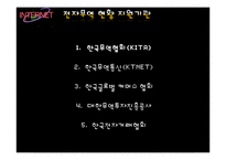 [무역학] 한국 전자무역(e-trade) 현황과 전망-10