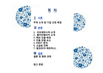 [국제경영] 아모레 퍼시픽 프랑스 진출 성공 사례-2