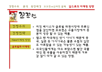 [마케팅] 꼬꼬면의 경쟁우위 마케팅 전략-17