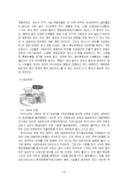 [환경정책] 개발정책의 분석과 평가-16