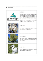 [지역개발] 울산광역시 관광마케팅 전략-5