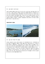 [지역개발] 울산광역시 관광마케팅 전략-8