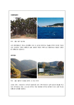 [지역개발] 울산광역시 관광마케팅 전략-9