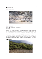 [지역개발] 울산광역시 관광마케팅 전략-10
