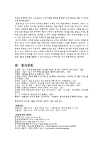 [사회학] 골목길과 도시 문화-13