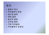 문화주체와 하위문화-2