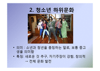 문화주체와 하위문화-6