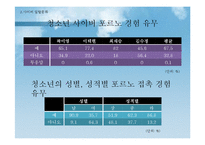 [청소년문화] 청소년 사이버문화-18