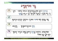 [사회복지] 교정 및 군 사회복지-10