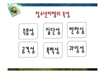 [사회복지] 교정 및 군 사회복지-17
