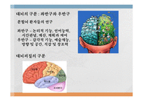[언어심리학] 뇌와 언어-3