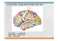 [언어심리학] 뇌와 언어-4