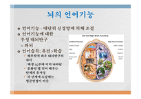 [언어심리학] 뇌와 언어-5