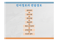 [언어심리학] 뇌와 언어-7