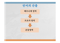 [언어심리학] 뇌와 언어-8